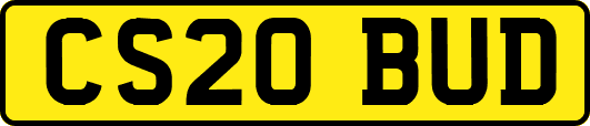 CS20BUD