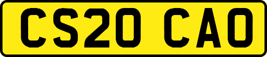 CS20CAO