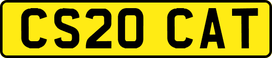 CS20CAT