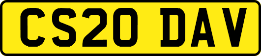 CS20DAV