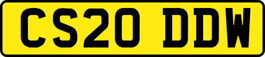 CS20DDW