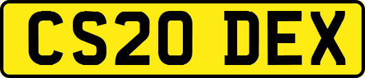 CS20DEX