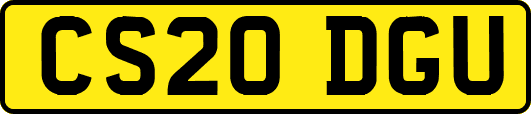 CS20DGU