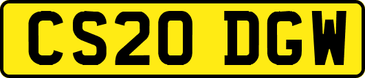 CS20DGW
