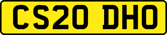 CS20DHO