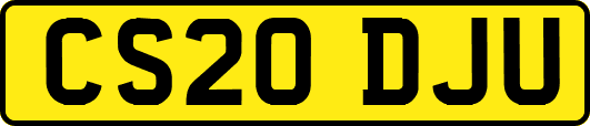 CS20DJU