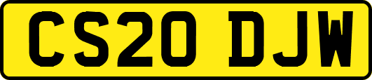 CS20DJW