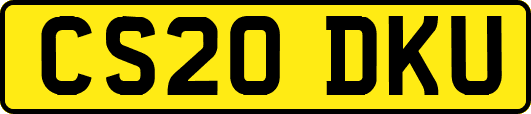 CS20DKU