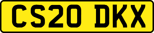CS20DKX