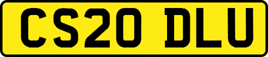 CS20DLU