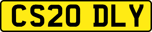 CS20DLY