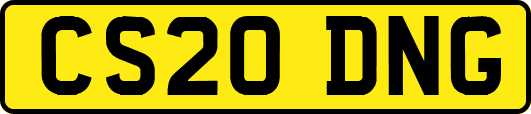 CS20DNG