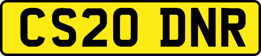 CS20DNR