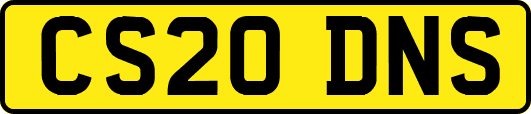 CS20DNS