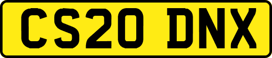 CS20DNX