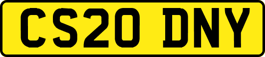 CS20DNY