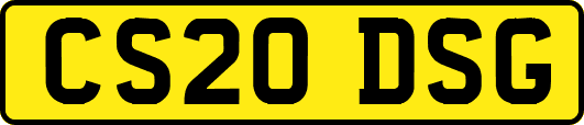 CS20DSG