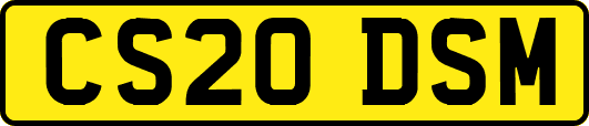CS20DSM