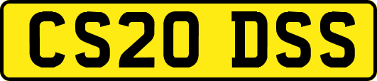 CS20DSS