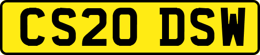CS20DSW