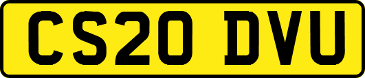 CS20DVU