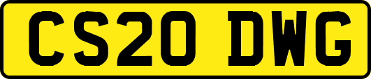CS20DWG