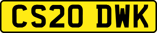 CS20DWK