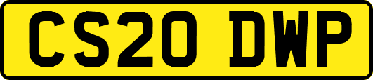 CS20DWP