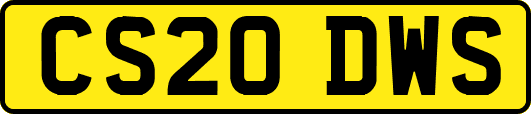 CS20DWS