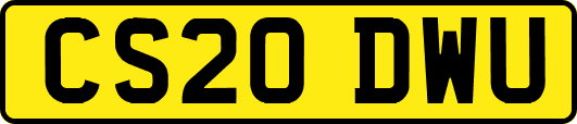 CS20DWU