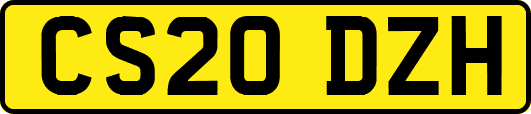 CS20DZH
