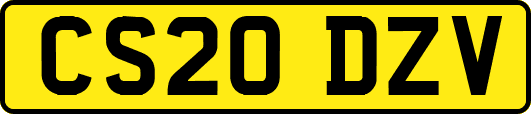 CS20DZV