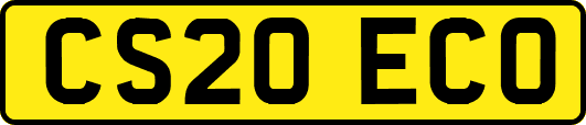 CS20ECO