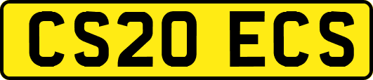CS20ECS