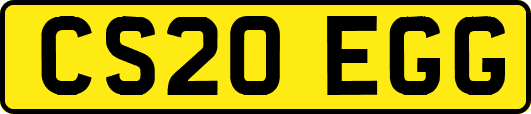 CS20EGG