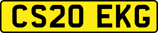 CS20EKG