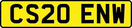 CS20ENW
