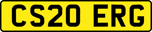 CS20ERG