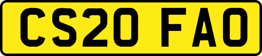 CS20FAO