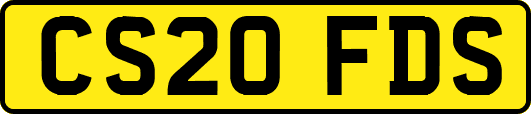 CS20FDS
