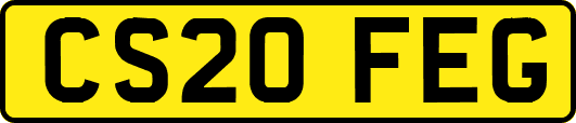 CS20FEG