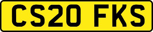 CS20FKS