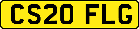 CS20FLG