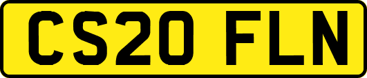 CS20FLN
