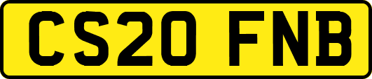 CS20FNB