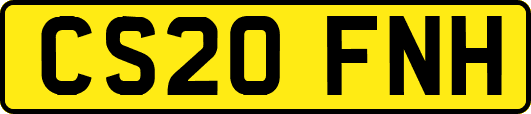 CS20FNH