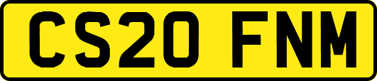 CS20FNM