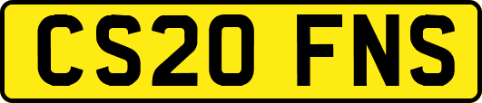 CS20FNS