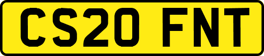 CS20FNT