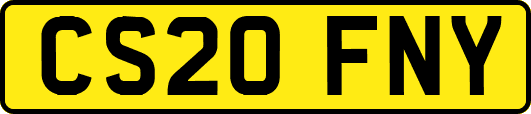 CS20FNY